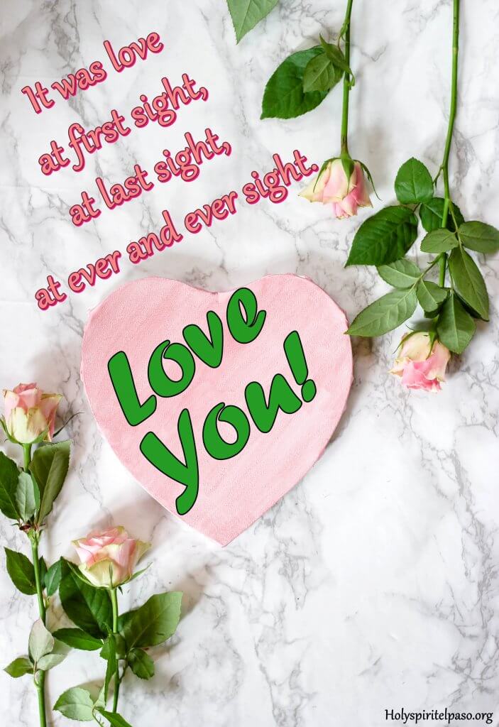 Love At First Sight Quotes With Beautiful Flower HD Image