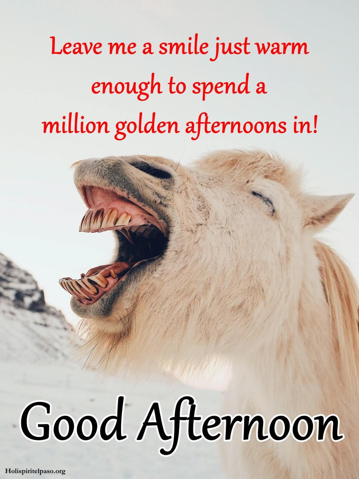 Good Afternoon Quotes - 116 Messages to Wish Good Afternoon