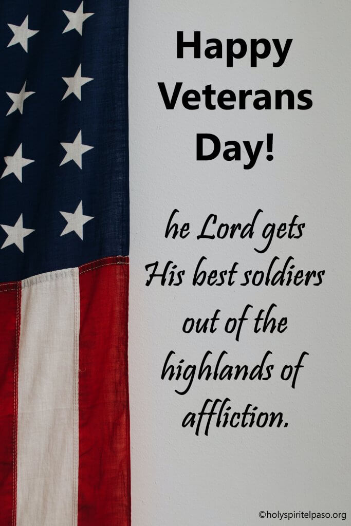 Veterans Day Quotes of Appreciation